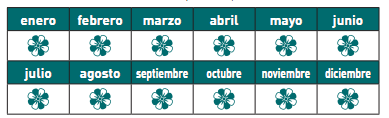 floración cattleya